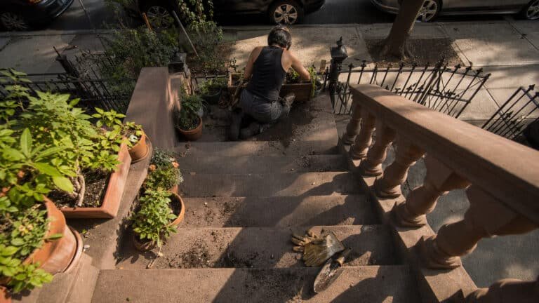 Gardening back pain in Brooklyn brownstone stoop with planters at Brooklyn Chiropractic Care Greenpoint